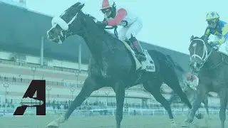 Aqueduct Racing - February 13, 2022