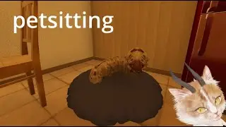 Asli Anjingnya Imut Banget - Petsitting Indonesia Gameplay