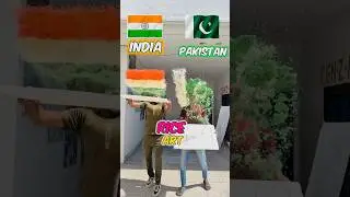 Which country Rice art flag make first??india🇮🇳Vs Pakistan🇵🇰??#shorts