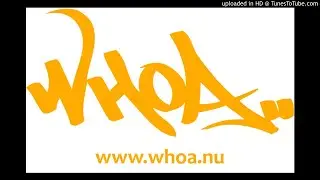 Cap & Quinze – What does it take (2003)