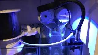 Reef Tank update with D-D SK 3000 auto filter & Neptune Cor 20