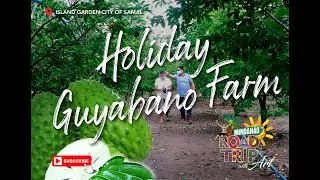 Неделя в городе-саду острова Самал: материковая часть Самала &mdash; ферма Holiday Guyabano