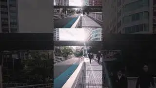 TOKYO MORNING WALK: Calm Sunrise, Breakfast & Rainbow Bridge Views (Tamachi/Minato-ku) ☕