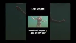 The best campsite near Seattle 시애틀 일등 캠핑장