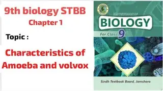 Structure characteristics of amoeba and volvox easily explained in Urdu | Hindi 
