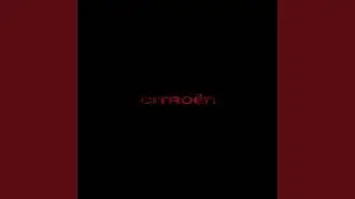 Grey Citroen