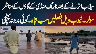 After the Flood: Narang Mandi Villages Flooded, Crops & Solar Tubewells Destroyed, No Help Arrived