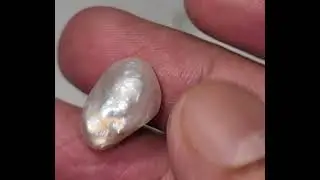 Gia certified natural pinctada pearl 