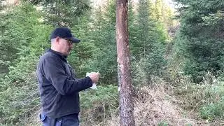 Quelques petits conseils pour comment faire un poteau d’urine à ma façon 🙂