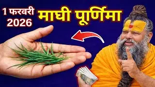 चमत्कार को नमस्कार 😱 1 फरवरी माघी पूर्णिमा पर चुपचाप ले आना इस पौधे की जड़, गरीबी दूर होगी