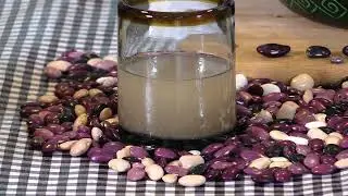 Ayocotes - Cocina tradicional de Tlaxcala