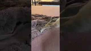 Core strength goes crazyyyy 🤣🤣