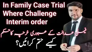 remedy against interim order in family court trial / interim maintenance order