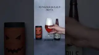 Pils от Волковской пивоварни #обзорпива #пиво #beer #пилснер