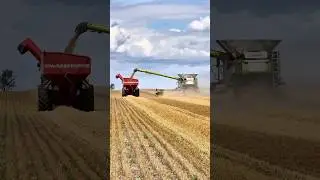 CLAAS lexion 8800 combine harvester with the Versatile and HORSCH chaser bin