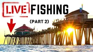 PIER FISHING LIVE (Part 2) Crab Net, Magnet Fishing & Bait Fishing
