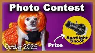 Выиграйте комплект Spotlight Snoot! | Октябрьский фотоконкурс