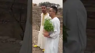 27 غشت 2024