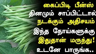 பீன்ஸ் சாப்பிட்டால் நடக்கும் அதிசயம்! | Beans Health Benefits in Tamil| Beans Health Tips in Tamil 