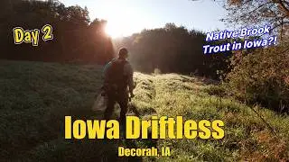 Native Trout in the Iowa Driftless!