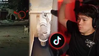 Konten Yang Selalu Bikin Jantung Gw Ampir Lepas! - EMPERROR #8