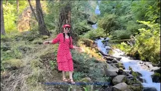 Th&aacute;c nước Wahkeena Falls and Horse Falls are beautiful August 2025 