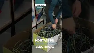 PR&Aacute;CTICAS ELECTRICIDAD