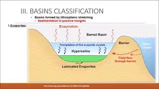34  Continental margin   5 Types of sediments