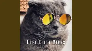 Cat's Melodic Chill Zen