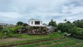 Dji neo