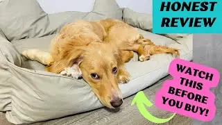 My Honest Review of Lionteala Leather Waterproof Dog Bed