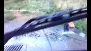 Stratonomia RODOS Eksereynhseis sto Dasos
