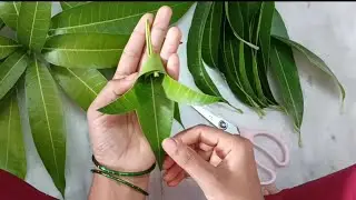 # మామిడి ఆకుల తోరణం  || Mango Leaf Thoran Decorarion || సింహద్వార తోరణం