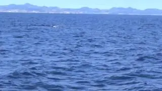 Ron Verboom - Oceanic Voyage (Radio Edit)