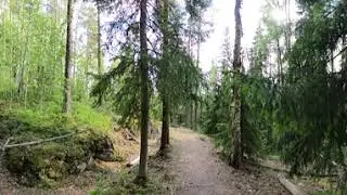 Laurinmäki Janakkalassa