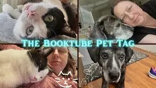 The Booktube Pet Tag