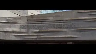 Perot Museum:  The Science behind Pixar, Expanding Universe Hall, & Dinosaur Exhibit.
