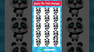 Guess The Odd Animal 🧐 Only 1% Gues #shorts #quiz #viral