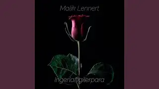 Ingerlaffigilerpara