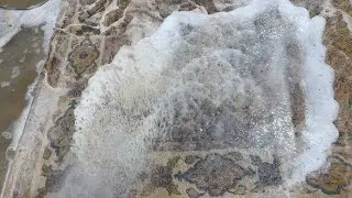 Stop and watch why diy cleaning of rugs is bad