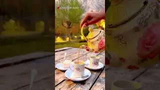 Safari Resort Tea Vibes 🌿☕ | Mountain View Short