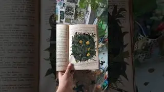 Painting on book #shorts #paint #oldbook #flowerpainting #paintingstyle