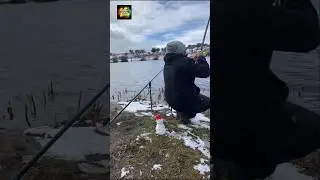 Me encantan los barbos💪💪 #fishing #pescaria #carpfishing #pesca #pescuit #shortsvideo #shortspesca