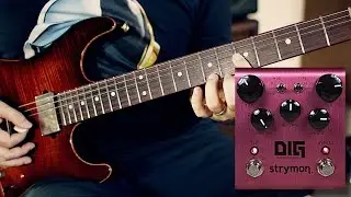 Strymon DIG (Roberto Torao)