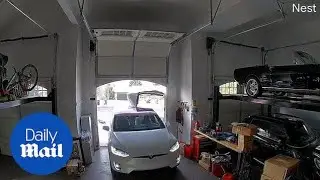 Woman SMASHES her Tesla Model X 'falcon wing' door while parking