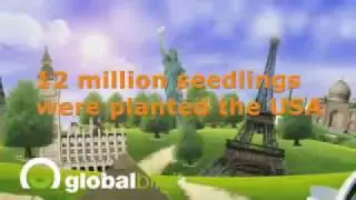 global bilgi