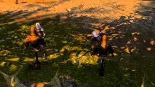 Meine ersten Schritte mit Magix Video (Aion)