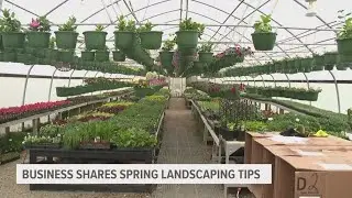 Snow & plants: Best way to protect your greens when April snow hits