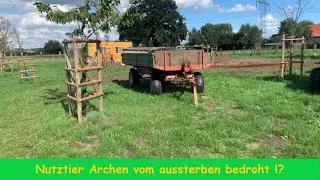FarmVLOG #165 Nutztier Archen vom aussterben bedroht !?