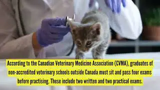 Candian Visa Experts - Foreign Trained Veterinarians Are in High Demand in Canada.